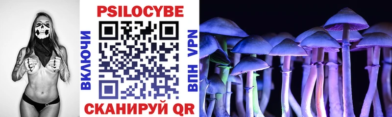 сколько стоит  Агрыз  Псилоцибиновые грибы MAGIC MUSHROOMS 